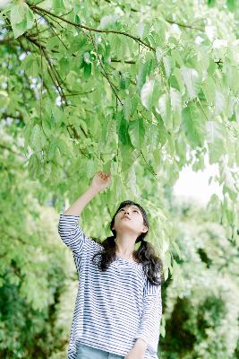 浪漫樱花免费播放高清版下载